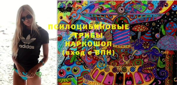 ПСИЛОЦИБИНОВЫЕ ГРИБЫ Баксан