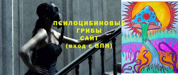 ПСИЛОЦИБИНОВЫЕ ГРИБЫ Баксан