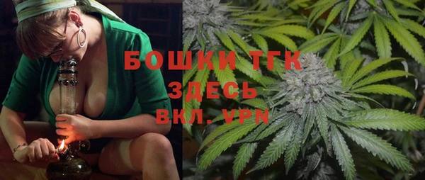 ПСИЛОЦИБИНОВЫЕ ГРИБЫ Баксан